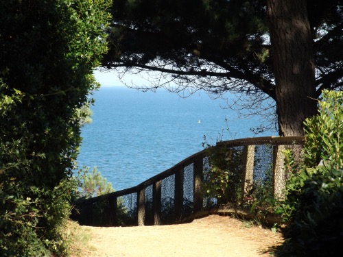 Path down to Branksome Chine
